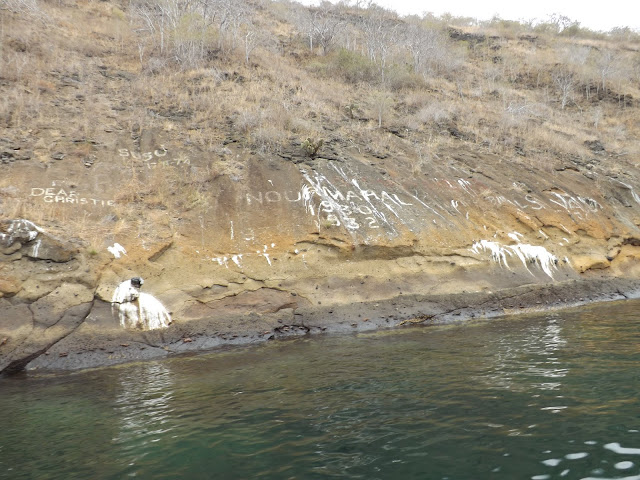 Tagus cove, Isla Isabela, Islas Galápagos