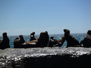 LACN - voyage - argentine