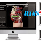 Shoulder Pro III + Animations v3.8 [Mac OS X ) Full KeyGen-CORE