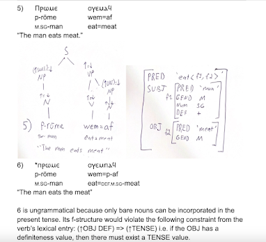 excerpt from final project on coptic verb state and noun incorporation. A grammatical sentence for "the man eats meat" has a morphological gloss, c-structure tree, and f-structure. It is contrasted with an ungrammatical sentence "the mean eats the meat" where the verb for eat is in the wrong form.