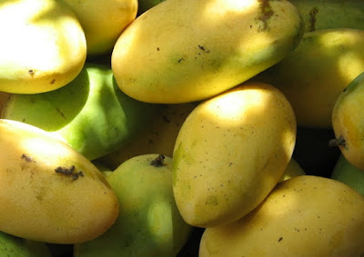 manfaat buah mangga