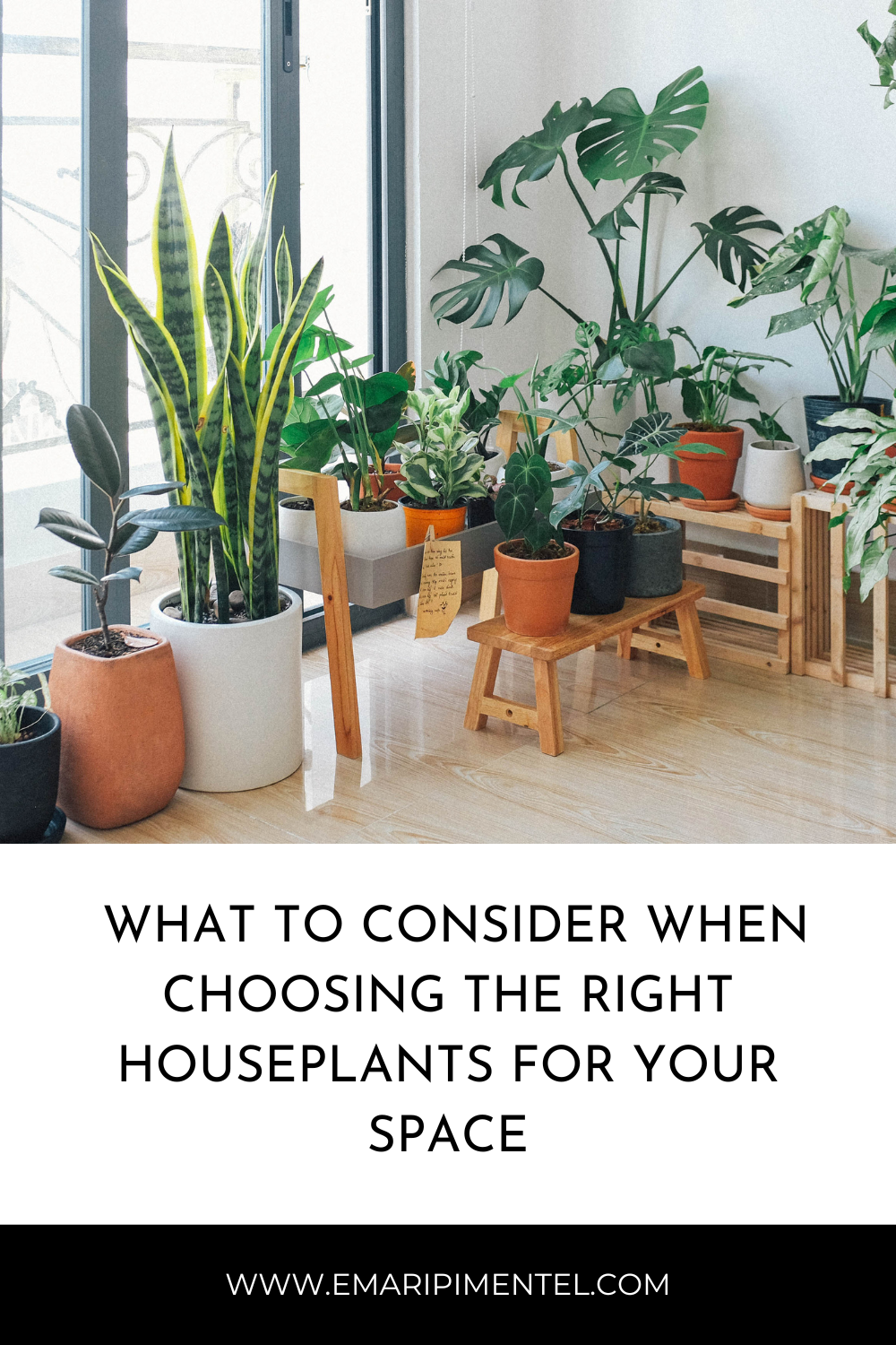 In my opinion, indoor plants are an absolute game-changer for decoration. I  believe they not only enhance the aesthetics but also bring a refreshing  vibe to any space. Additionally, taking care of