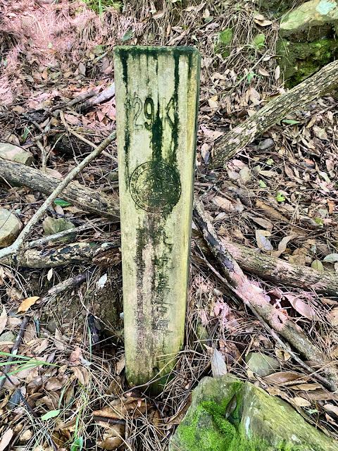 雪霸國家公園北坑溪古道29K里程樁