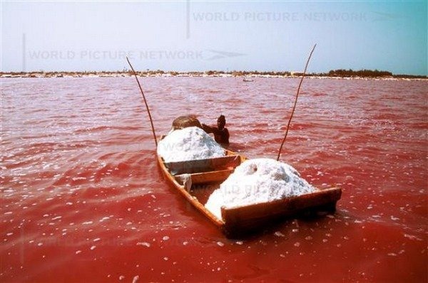 pink-lake-retba (13)