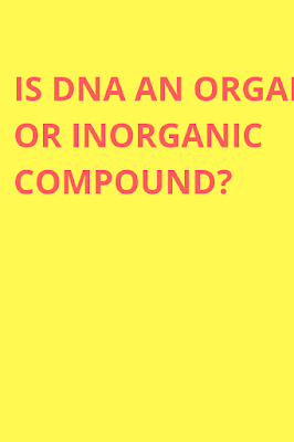 Is DNA an organic or inorganic compound?