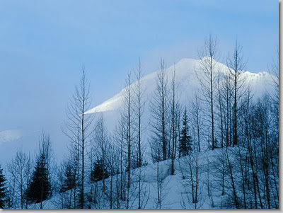 Mountain Peak Rising Through Morning Fog, Glacier National Park, Canada