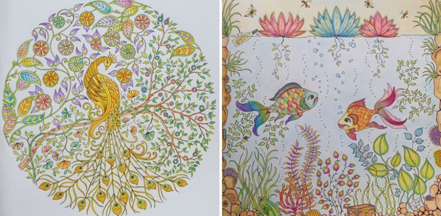 a delightful coloring book for adults