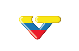 Venezolana de Televisión en vivo, Online VTV Canal 8