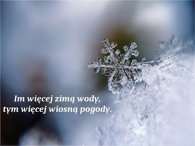 Przysłowie zimowe