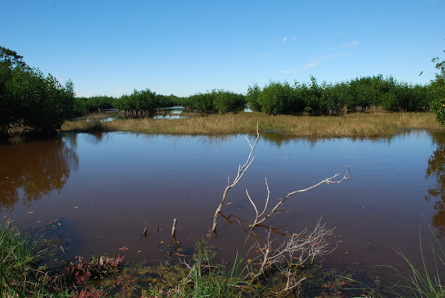 Everglades National Park's Ten Thousand Islands