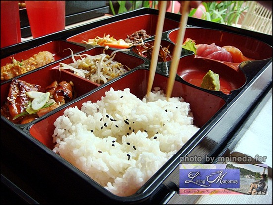 SumoSam Samurai's Choice