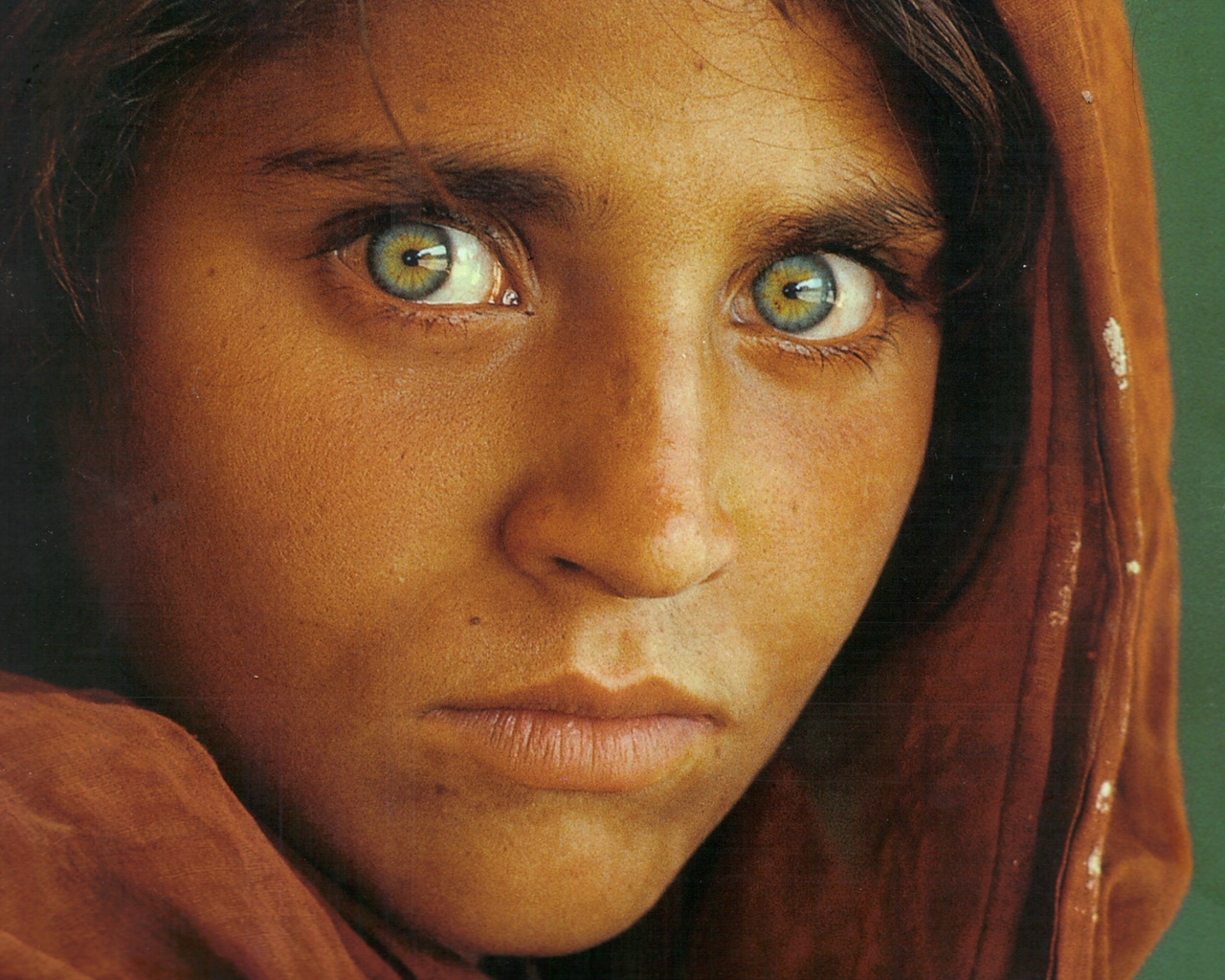 Afghan (image)