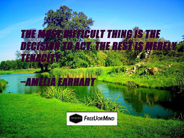 THE MOST DIFFICULT THING IS THE DECISION TO ACT, THE REST IS MERELY TENACITY. - AMELIA EARHART