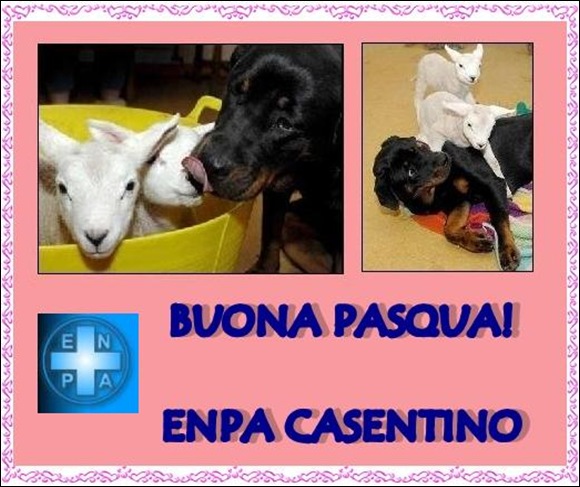 ROTT E AGNELLINI