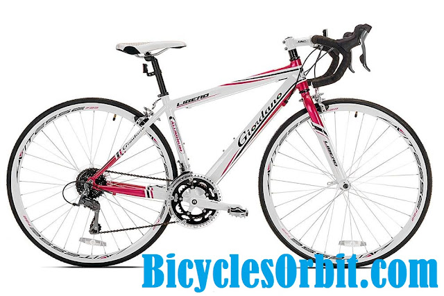 Giordano Libero Acciao Roadway Bike