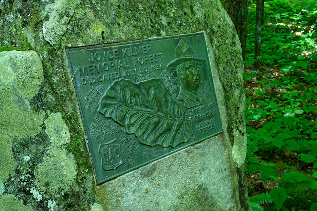 Joyce Kilmer Memorial Forest