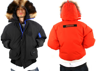 concepts canada goose