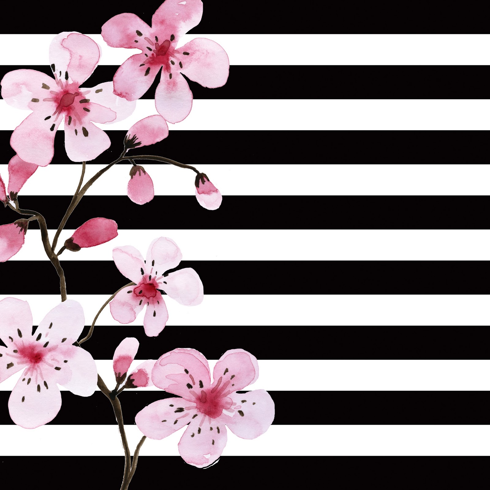 FREE Black  White  Floral  Background  Patterns 