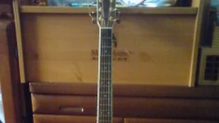 初めてギターを買った頃の話 ~YAMAHA FG-300D