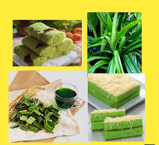 Tanaman herbal Pandan sering digunakan dalam masakan Asia Tenggara, terutama di Thailand, Malaysia, dan Indonesia. Daun-daun dari Tanaman herbal pandan sering digunakan untuk memberi rasa pada nasi, serta digunakan untuk membungkus daging dan seafood sebelum diolah