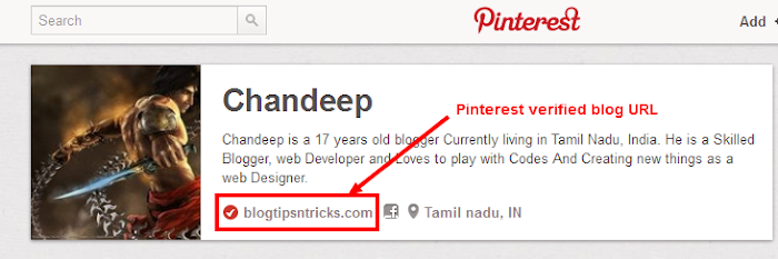 success verification pinterest profile