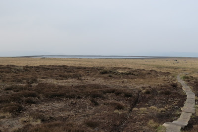 Moorland with a stone slab path winding across the right of the image. Just visible is a low-lying body of water on the horizon, Gaddings Reservoir.