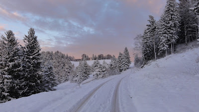 Niederwiler Stierenberg