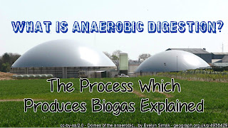 What is anaerobic digestion thumb