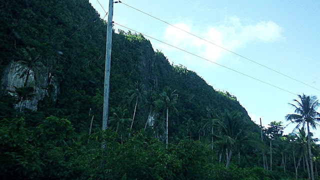 Karst walls along the road to Jagnaya in Salcedo Eastern Samar