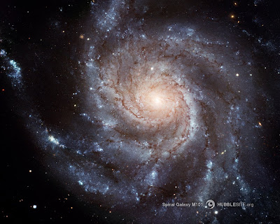 The Spiral Galaxy