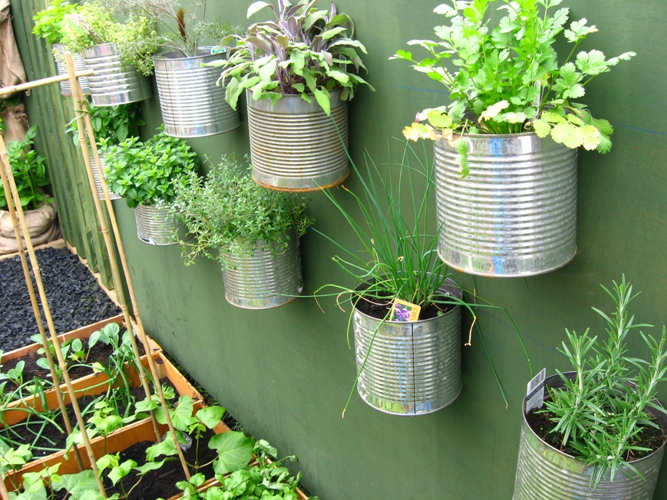 Tin Can Herb Garden