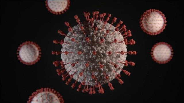 Penggambaran virus corona