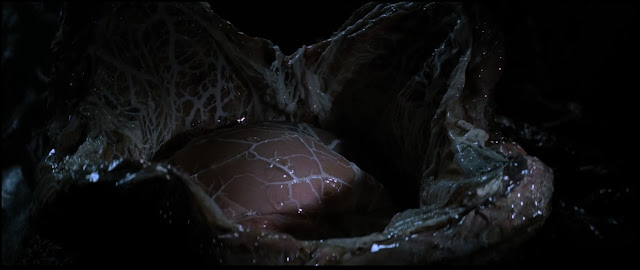 Alien 1979 Inside of Egg