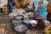 Jelang Nataru, Harga Ikan di Tuban Turun Drastis