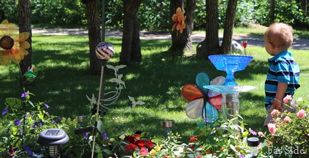 Mikey and the flowers