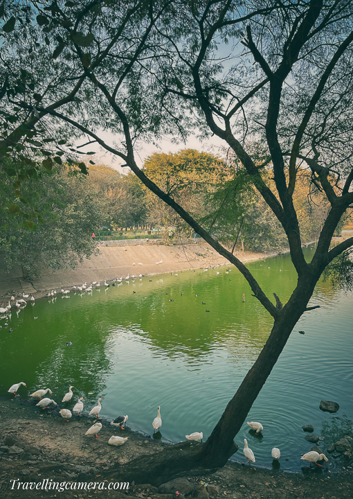 Historical Resonance:  Dating back to the 13th century during the reign of Alauddin Khilji, the Hauz Khas Tank was originally constructed as a water reservoir to meet the needs of the flourishing Siri Fort. Today, its ancient walls stand as silent witnesses to the ebb and flow of Delhi's history, offering a peaceful retreat from the modern chaos.