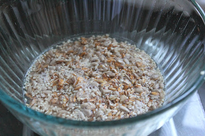 Soaking Harvest Grains Blend