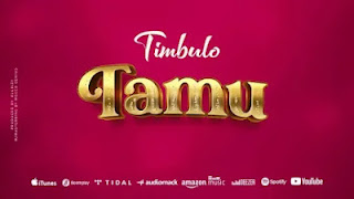 AUDIO: Timbulo - Tamu - Download Mp3 