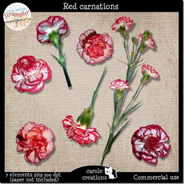 carolecreations_CU_redcarnations_preview_600