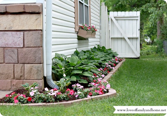 side yard garden hosta