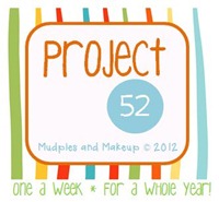 Project 52 one photo a week for the whole year