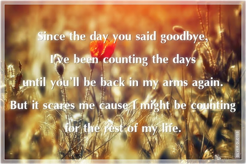 Since the Day You Said Goodbye