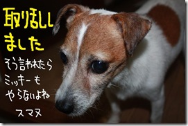 今日カズ１００７１３　６