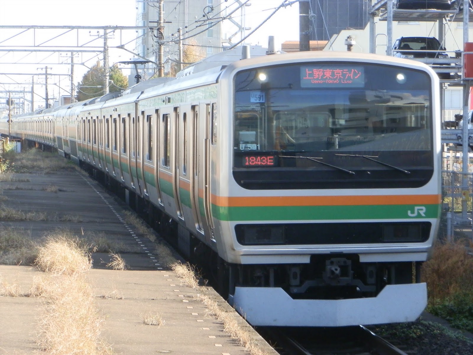 小田急沿線住み鉄道ファン日記 臨時快速 東日本旅客鉄道185系0番台の ホリデー快速あたみ号 を撮影 A