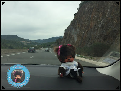 Diana la Monchhichi traverse Soumont dans l'Hérault , Occitanie