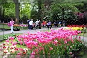 La primavera en Holanda suele ser algo más fresca y también más lluviosa que . (fd)