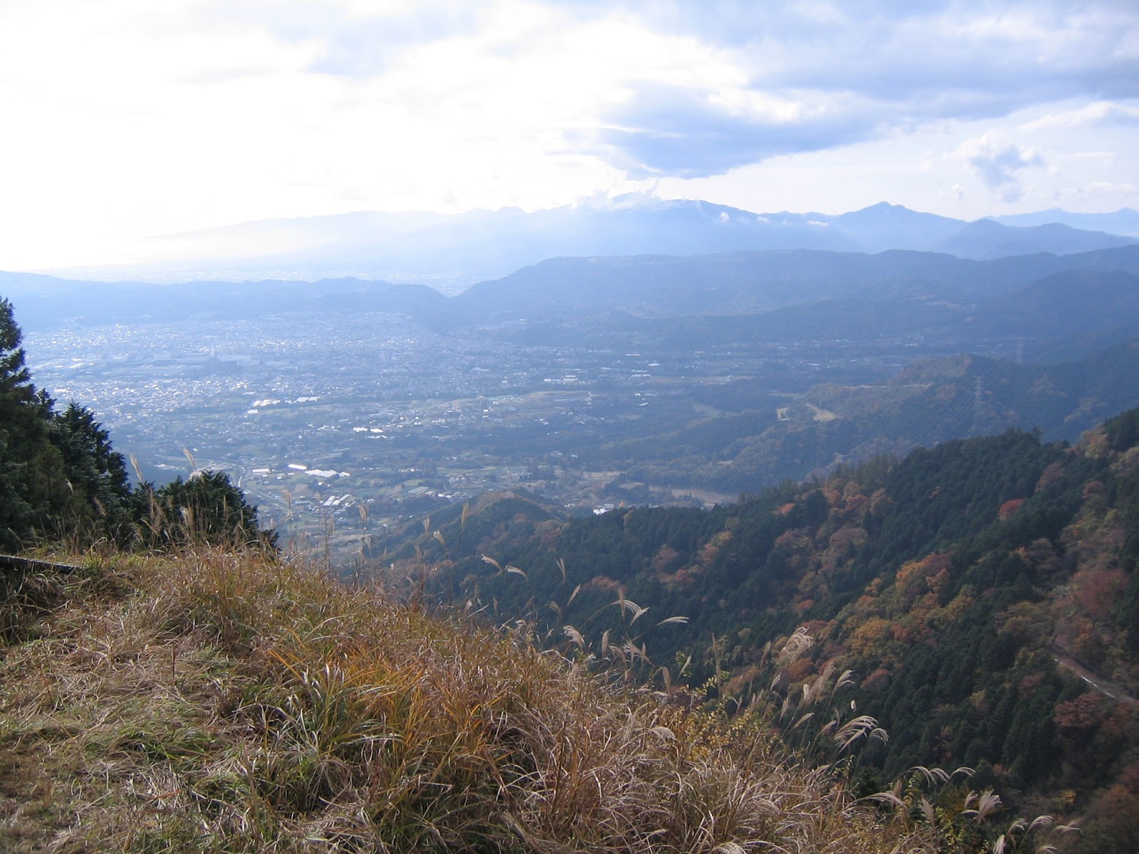 Adventure In Yokohama Citizen Forest You Can T Always Get What You Want Water And Oiso Hill 大磯丘陵