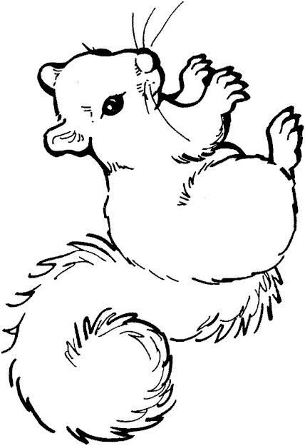 The Latest Tips And News On Animals Coloring Pages Are On Color Page On Color  Page You Will Find Everything You Need On Animals Coloring Pages