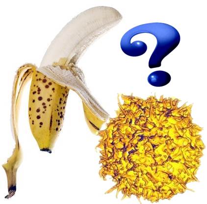 Las bananas nutren pero no curan el cáncer porque no poseen TNF