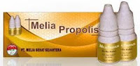 PROPOLIS PELOPOR ASLI